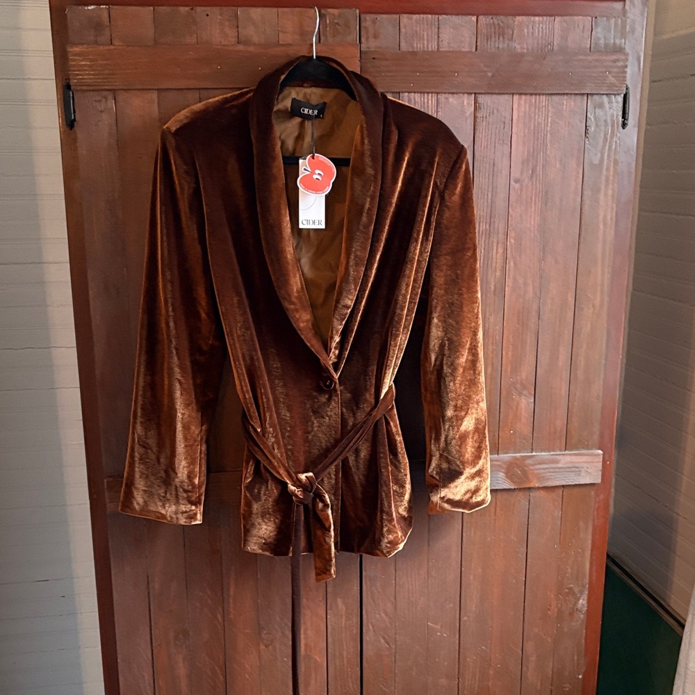 Brown Faux Velvet Women's Blazer - Picture 2 of 12